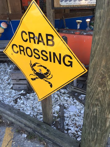 Crab Crossing