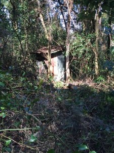 Hidden shack in the woods