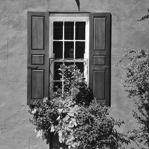 Charleston Window