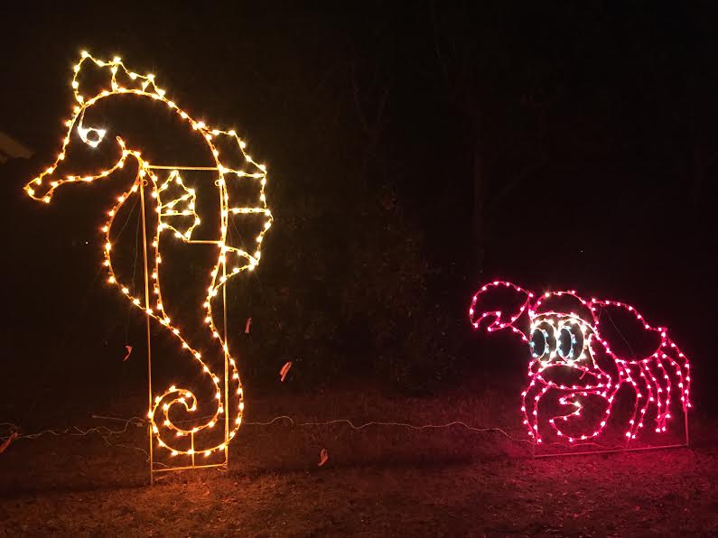 Crab and seahorse in lights