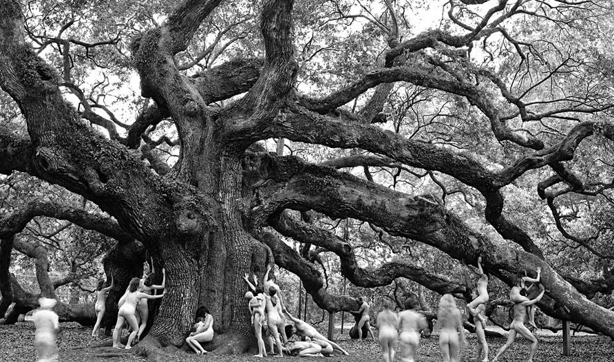 Tree Spirit Project 2011 - Preserve Angel Oak