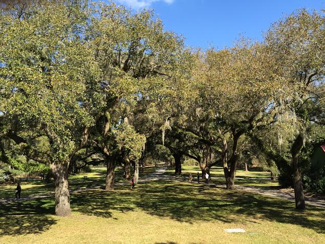 McLeod Plantation: Discover history and serenity right on James Island ...