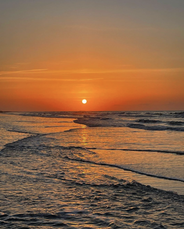 10 Amazing Free Things in Charleston SC Charleston Daily 10 Amazing Free Things in Charleston SC Charleston Daily